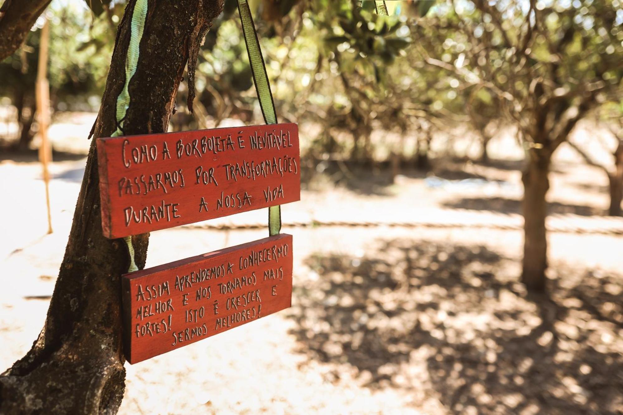 Quinta Das Cacadoras - Animal Lovers Only Palmela Luaran gambar